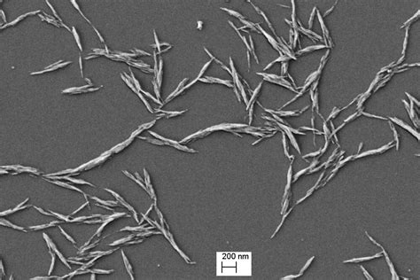  Nanocrystalline Cellulose: การปฏิวัติใหม่ในวงการวัสดุชีวภาพและแพทย์เทคโนโลยีขั้นสูง!